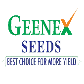 Geenex Seeds India Private Limited