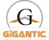 Gigantic Infotel Private Limited