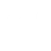 Golden Brains It Hub Private Limited