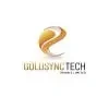 Goldsync Tech Private Limited