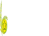 Greenstarline Udyog Private Limited
