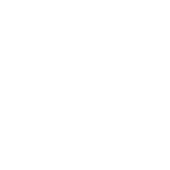 Greenvolt Mobility Llp