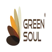 Green Soul Ergonomics Private Limited