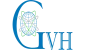 Gvh Technologies Private Limited