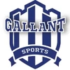 Gallant Play Private Limited