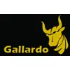 Gallardo Holdings Private Limited