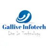 Gallive Infotech Limited