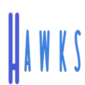 Hawks E-Accounting And Consultancy Private Limited