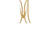Hindustan Leasing Limited