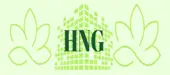 Hng Recruitment And Staffing Services Private Limited