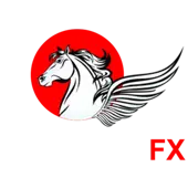 Horseman Fx India Private Limited