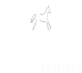 Horsemen Services Private Limited