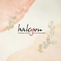 Halcyon Soft Solutions Private Limited