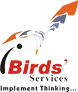 Ibirds Software Services Private Limited