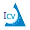 Icv Assessments Private Limited