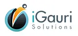 Igauri Solutions Private Limited