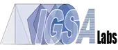 Igsa Solutions Private Limited