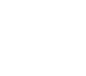 Iintris Solutions Private Limited
