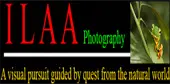 Ilaa Photography (Opc) Private Limited