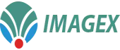 Imagex Technologies India Private Limited