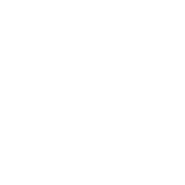 Indian Documentary Foundation.