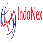 Indonex Health Analytics Private Limited