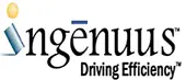 Ingenuus Bpm Solutions Private Limited