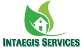Intaegis Services Private Limited