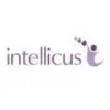Intellicus Technologies Private Limited