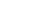 International Road Dynamics South Asia Private Limited