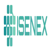 Isenex Consulting Private Limited