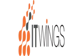 Itwings Infosystem Private Limited