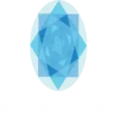 I Dream Networks Private Limited