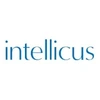 Intellicus Technologies Private Limited