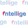 Intellige Web Technologies Private Limited