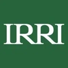 Irri Foundation India