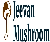 Jeevanmushroom (Opc) Private Limited