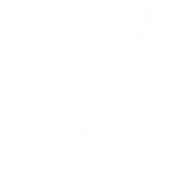 K. M. Music Conservatory Private Limtied