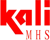 Kali Bmh Systems Private Limited