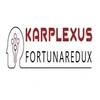 Karplexus Private Limited