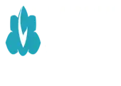 Labdhi Wealth Care Private Limited