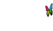 Lasertech Entertainment Private Limited