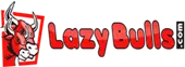 Lazy Bulls Domain And Hosting Services Private Limited