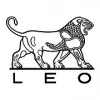 Leo Pharma Private Limited