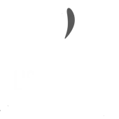 Lisianthus Tech Private Limited