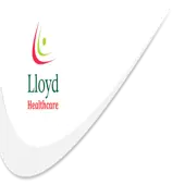 Lloyd Finserv Private Limited