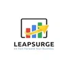 Leapsurge Business Innovations Private Limited image