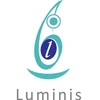 Luminis Consulting Services Private Limited