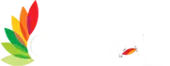 M-City Infrastructure Private Limited