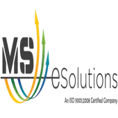 M.S. E-Solutions Private Limited